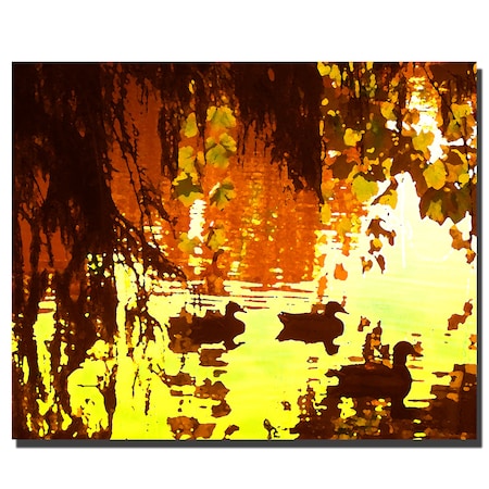 Amy Vangsgard; 'Ducks On Lake' Canvas Art,18x24